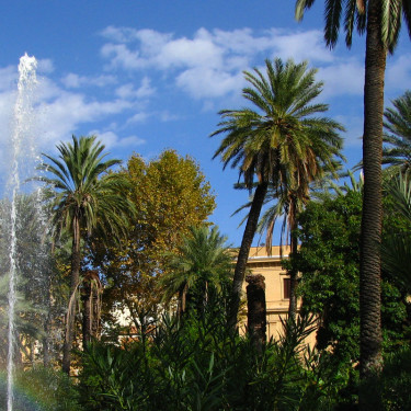 Santa Sicilia palermo-punica